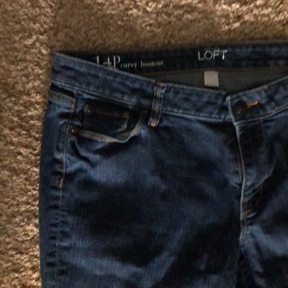 Ann Taylor Loft 14P Curvy Bootcut